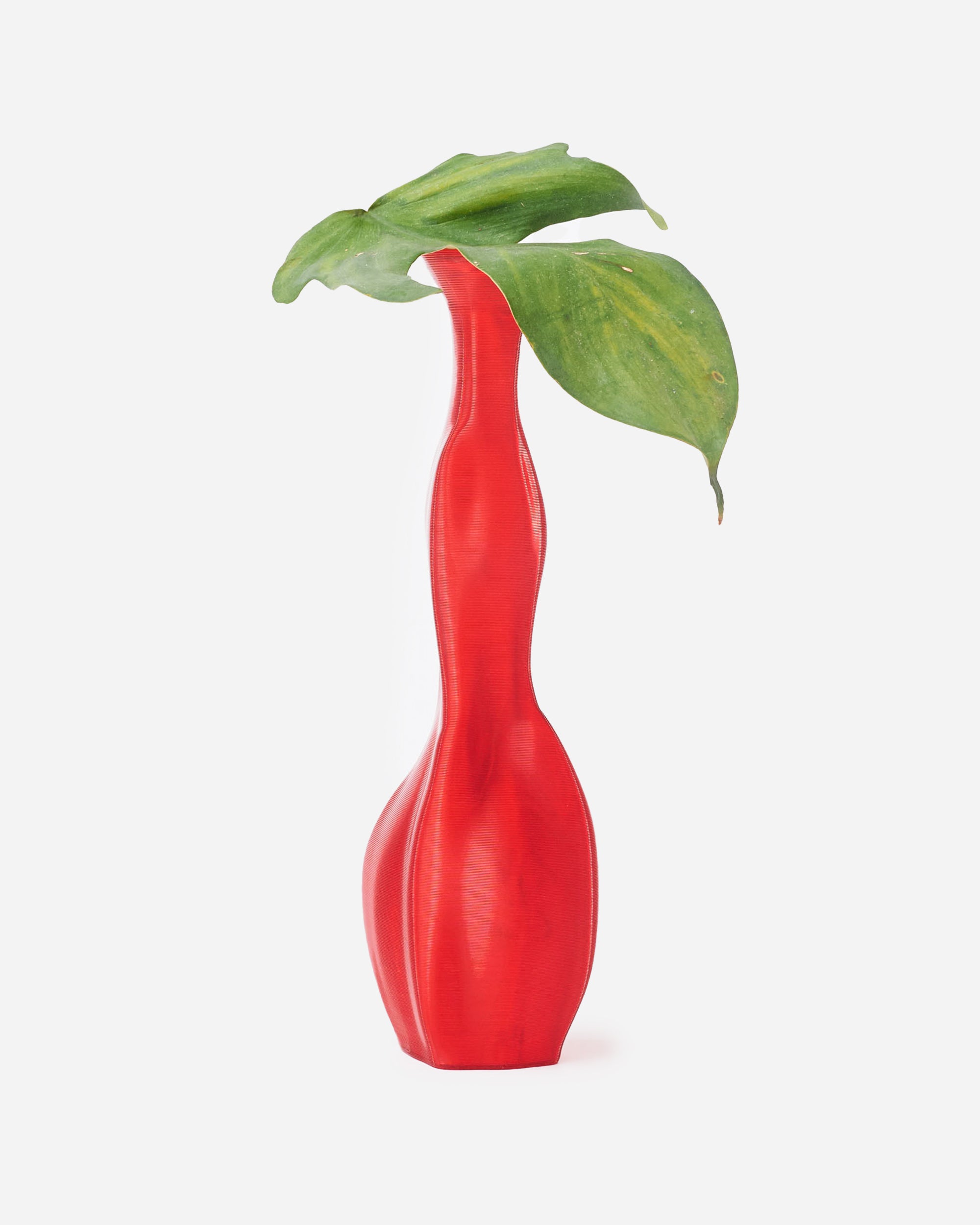 NIKO JUNE Las Projects Vase Red 24-LAPRVA-RE